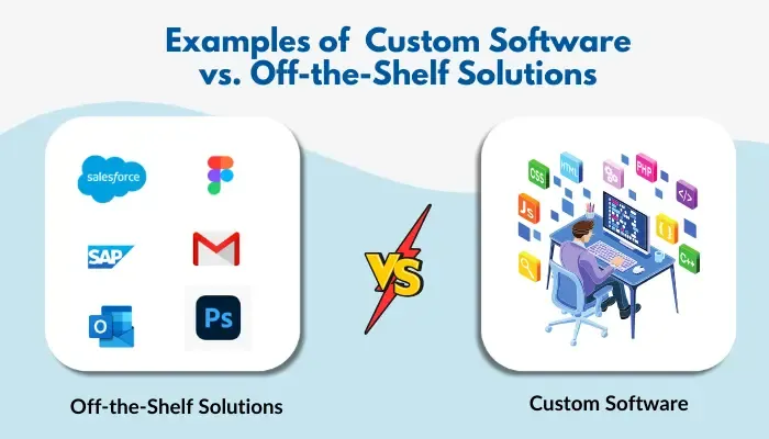 Customization vs. Off-the-Shelf Solutions