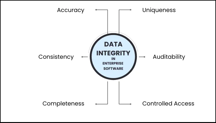 data-integrity-in-enterprises-software.webp
