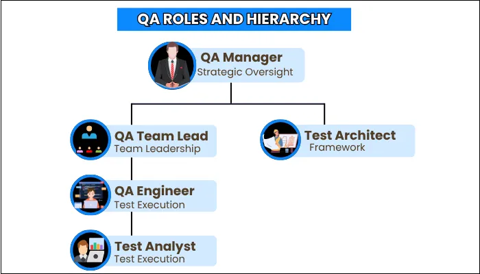 qa roles hierarchy