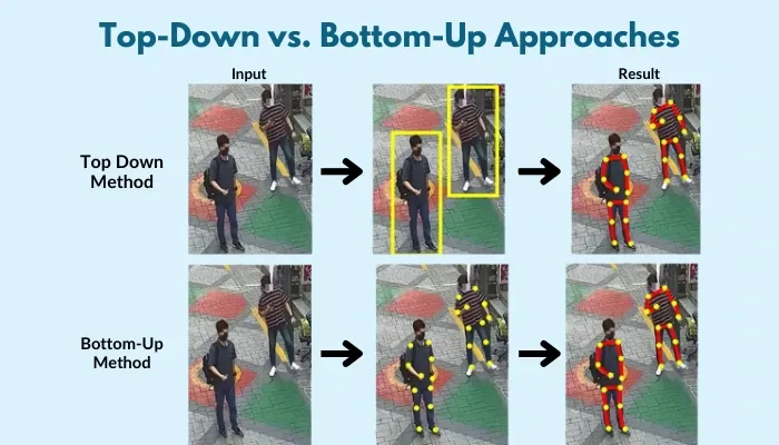 top down vs bottom up approaches