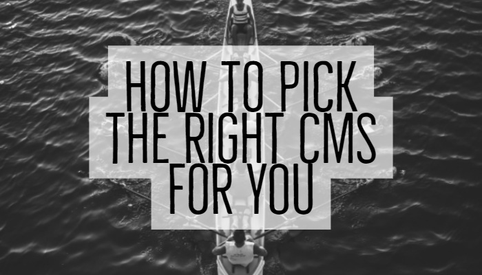 choosing right cms for business
