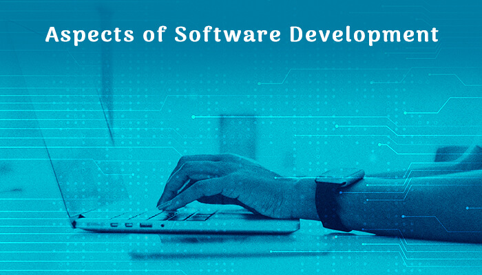 software development aspect