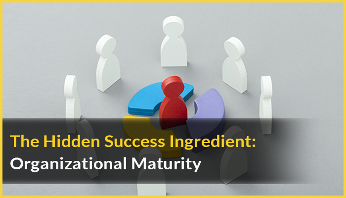 The Hidden Success Ingredient of Organizational Maturity