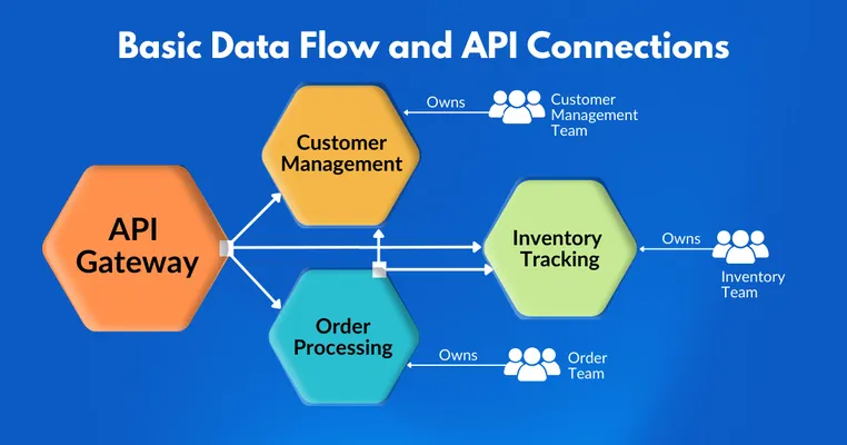 Data flow and API connections